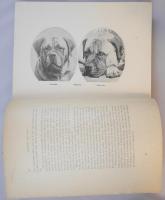 (英文)犬小屋の秘密(仮題)　原題、KENNEL SECRETS ,HOW TO BREED MANAGE AND EXHIBIT DOGS