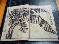 寒葉斎画譜　1巻～3巻迄　現存3冊