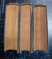 意志と現識としての世界