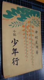 小説少年行