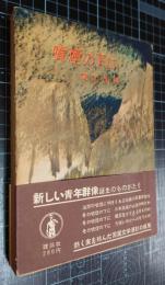 噴煙の下に