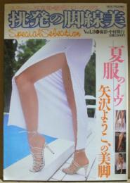 フェティッシュ写真集　魅惑のローアングル　挑発の脚線美　Vol.8