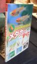 メダカのすべて　メダカの飼い方・ふやし方 ＜アクアライフの本＞