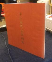 水江東穹彩墨画集