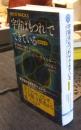 宇宙は「もつれ」でできている　新装改訂版 「量子論最大の難問」はどう解き明かされたか 　(ブルーバックス B2308)