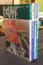 図解・軍艦シリーズ　全4冊（1.図解日本の戦艦　2.図解日本の空母　3.図解日本の重巡　4.図解日本の駆逐艦）