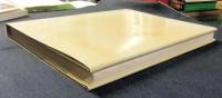 THE ART OF EMILY CARR　洋書　