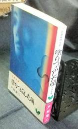 塗りつぶした顔　自選推理小説　双葉新書 