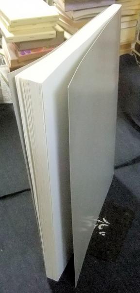 YOSHITOMO NARA DRAWING FILE(奈良美智) / 古本、中古本、古書籍