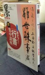 墨　2012年5・6月号　216号　特集差がつく！「行書」実力養成集中講座