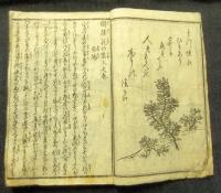 開談花の雲