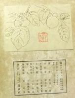 篋中デッサン　限定268番/500部