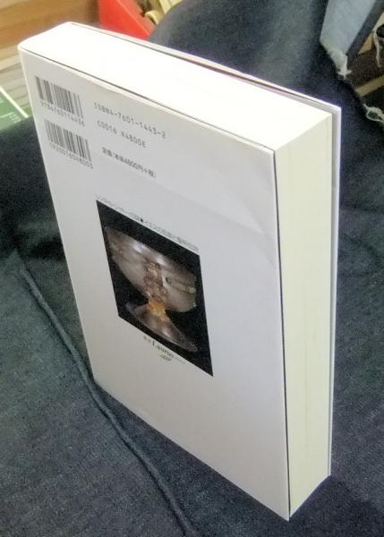 レンヌ ル シャトーの謎 イエスの血脈と聖杯伝説 叢書ラウルス マイケル ベイジェント リチャード リー ヘンリー リンカーン著 林和彦訳 古本 中古本 古書籍の通販は 日本の古本屋 日本の古本屋