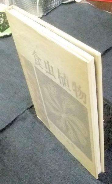 食虫植物 清水清写真集 清水清 長谷川書房 古本 中古本 古書籍の通販は 日本の古本屋 日本の古本屋 食虫植物 清水清写真集 清水清 長谷川書房 古本 中古本 古書籍の通販は 日本の古本屋 日本の古本屋