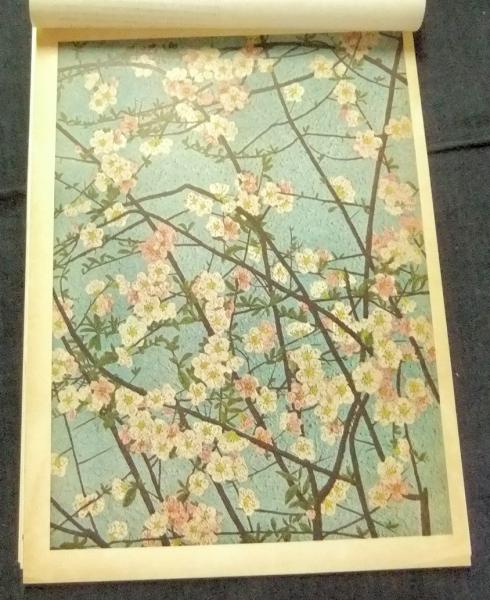 山下清作品集(山下清 式場隆三郎編) / 松野書店 / 古本、中古本