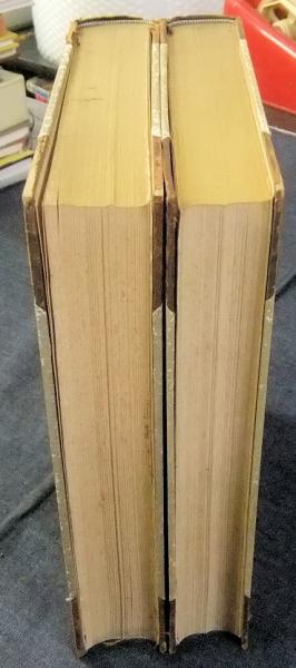 森脇雲溪　「蓮」 貴重な全落款印譜あり　真作！ 森脇雲溪 「蓮」 貴重な全落款印譜あり 真作！