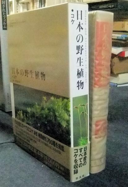 日本の野生植物 コケ