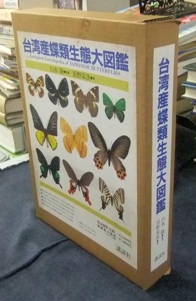 【1960年代当時物】☆蝶類標本☆『台湾産蝴蝶2/2』☆本物の蝶を100頭収録☆ 台湾蝶撮影記1 － 超ド級の珍蝶に遭遇 － - OTTOの蝶々ブログ