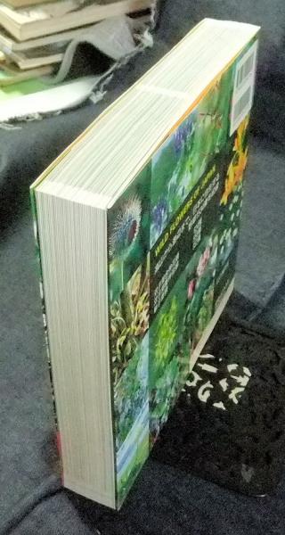 日本の野草 山渓カラー名鑑 林弥栄 編 古本 中古本 古書籍の通販は 日本の古本屋 日本の古本屋 日本の野草 山渓カラー名鑑 林弥栄 編 古本 中古本 古書籍の通販は 日本の古本屋 日本の古本屋