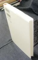 もうひとつの「王様と私」