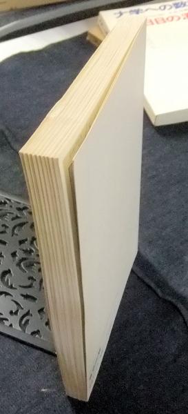 ☆激レア☆ 大学への数学 6月号臨時増刊 解放の探求Ⅱ