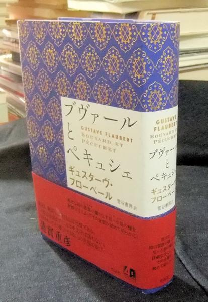 ブヴァールとペキュシェ(ギュスターヴ フローベール 菅谷憲興訳