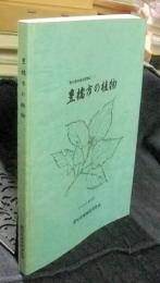 豊橋市の植物　愛知県地域別植物誌1