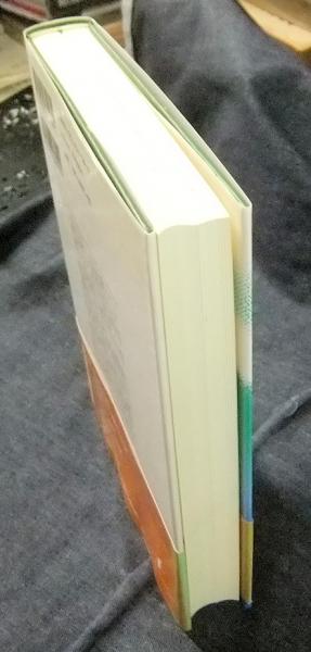 文化を生きる身体 間文化現象学試論(山口一郎) / 古本、中古本、古書籍