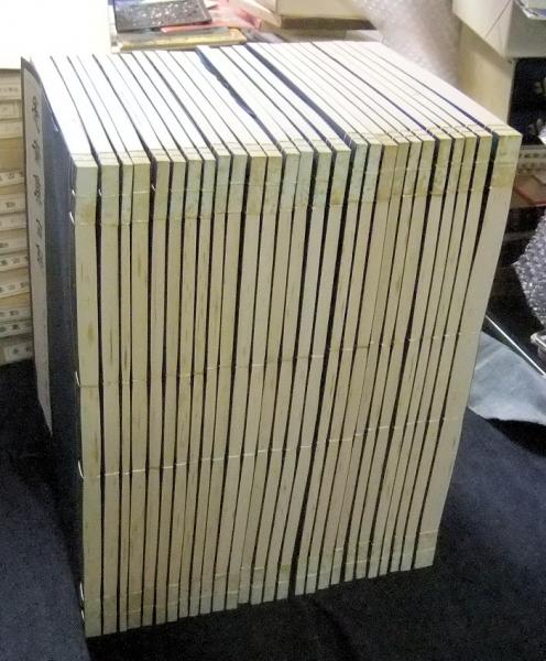 愙齋集古録 全27冊(呉大澂撰) / 古本、中古本、古書籍の通販は「日本の