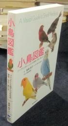 小鳥図鑑　フィンチと小型インコたちの種類・羽色・飼い方