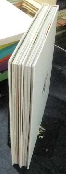 OTOMO KATSUHIRO ART WORK KABA 1971-1989 illustration collection ＋