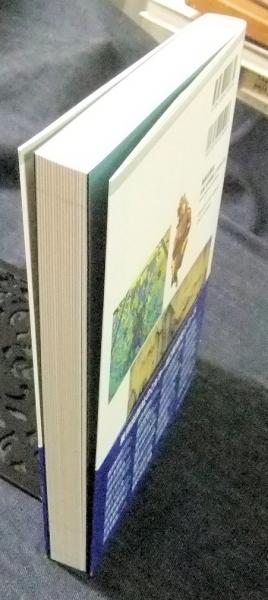 増補新装 カラー版 東洋美術史(前田耕作 監修) / 古本、中古本、古書籍