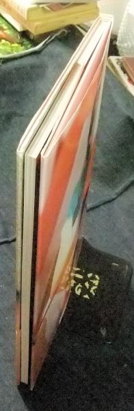 ビビアン・スー写真集 Venus(陳文彬 撮影) / 古本、中古本、古書籍の