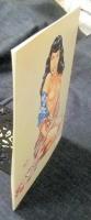 BETTY PAGE 3-D　COMICS　英語版