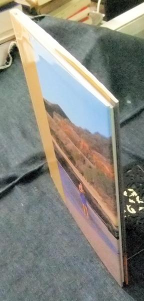 美品 渡部桂子写真集 | zbooks