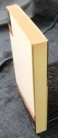 よくわかる哲学用語　西洋篇　真理を探る800語　YELL books