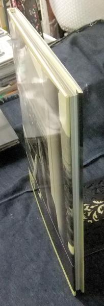 PRIVATE 西川峰子写真集(佐藤健 撮影) / 長谷川書房 / 古本