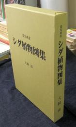 愛知県産 シダ植物図集
