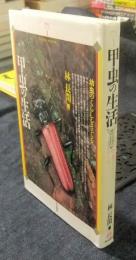 甲虫の生活　幼虫のくらしをさぐる ＜甲虫シリーズ 1＞