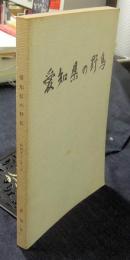 愛知県の野鳥