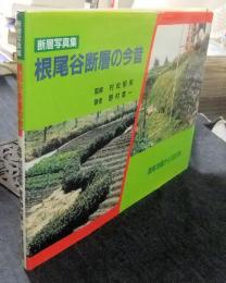 断層写真集　根尾谷断層の今昔