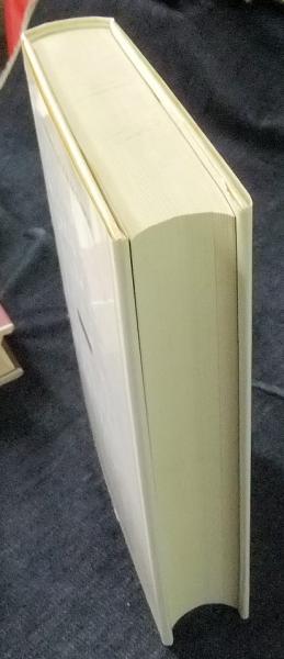 芸術と幻影 絵画的表現の心理学的研究 美術名著選書 22(E.H.