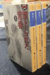 禁じられた青春　上・中・下（全3冊）　幻冬舎アウトロー文庫