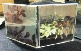 CD　9.5カラット