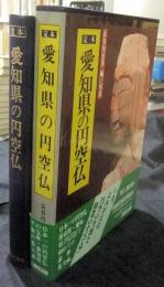定本愛知県の円空仏