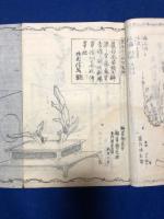 青山御流　活花手引種