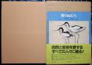 野の鳥たち : 素描集 ある画家のフィールド・スケッチ