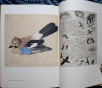 野の鳥たち : 素描集 ある画家のフィールド・スケッチ