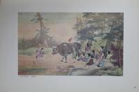 大観古径玉堂名作集