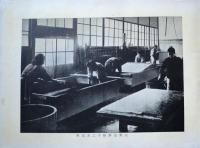 趣味乃鳥之子見本帳　越前紙　金銀箔押紙